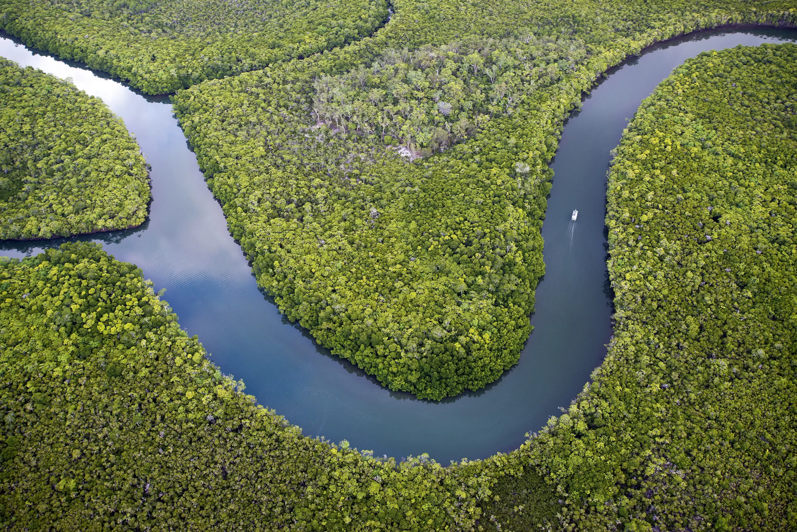 IMG-122 Northwest Safaris QLD Helicopter flight Cooper Creek